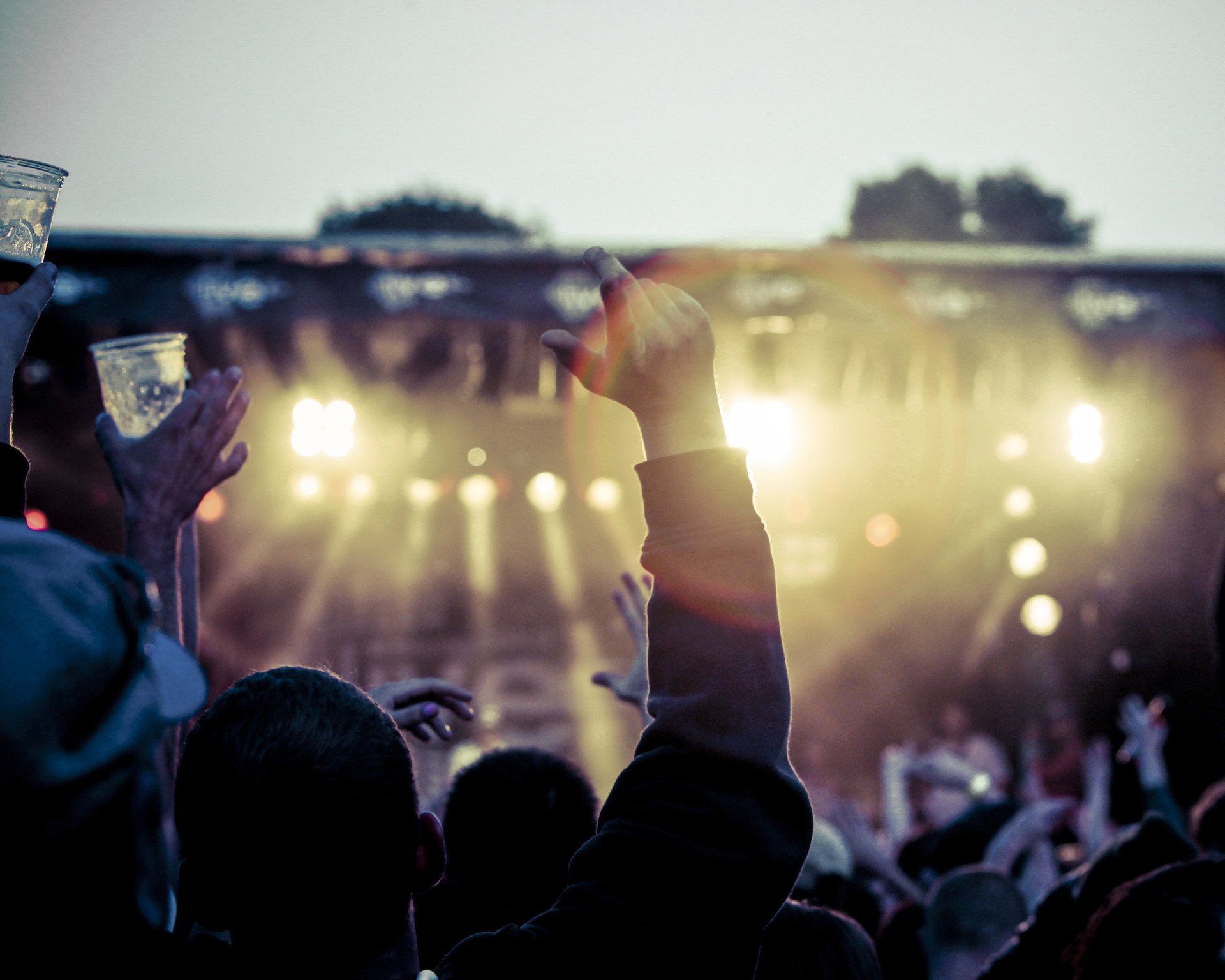Event security stewards managing a large festival crowd